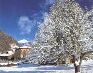 Hivern a Alins (Pallars Sobir)