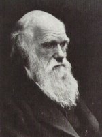 Darwin