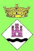 Escut del municipi de Riner