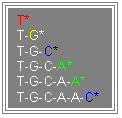 Cuadro de texto: T* T-G* T-G-C* T-G-C-A* T-G-C-A-A* T-G-C-A-A-C*