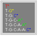 Cuadro de texto: T*  T-G*  T-G-C*  T-G-C-A*  T-G-C-A-A*  T-G-C-A-A-C*