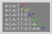 Cuadro de texto: A-C-A-T-T* A-C-A-T-T-G* A-C-A-T-T-G-C* A-C-A-T-T-G-C-A* A-C-A-T-T-G-C-A-A* A-C-A-T-T-G-C-A-A-C*