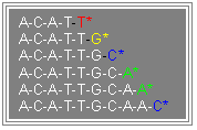 Cuadro de texto: A-C-A-T-T*  A-C-A-T-T-G*  A-C-A-T-T-G-C*  A-C-A-T-T-G-C-A*  A-C-A-T-T-G-C-A-A*  A-C-A-T-T-G-C-A-A-C*