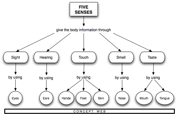 five sense  five The senses worksheet organs