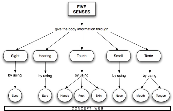 five smell worksheet  senses The senses five