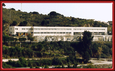 IES LLUS DE REQUESENS