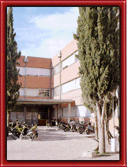 IES BERNAT EL FERRER