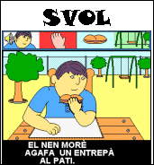 activitats SVOL