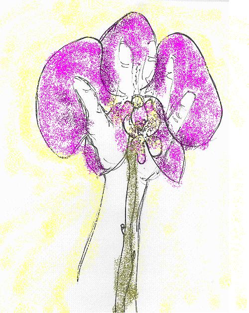 la flor