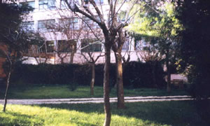 torras4