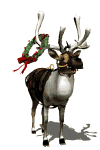 Xmas