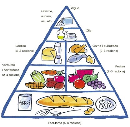 Resultat d'imatges de taula dels aliments lipids