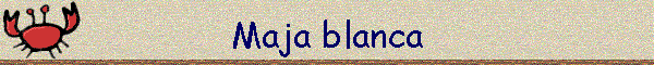 Maja blanca