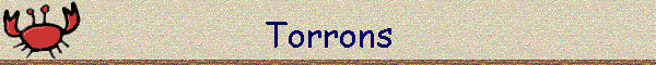 Torrons
