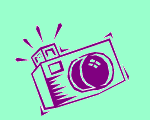 Fotografies del cigne mut