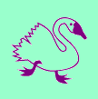 Característiques del cigne mut