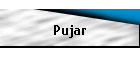 Pujar