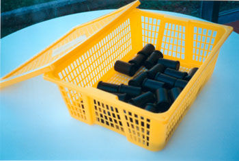 pesons01.jpg (35268 bytes)