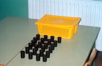 psons02.jpg (22306 bytes)