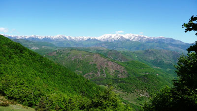 Pirineus