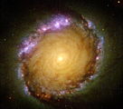 Ampliar foto: Galàxia espiral barrada NGC 1512