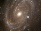 Ampliar foto: Galàxia NGC 4603