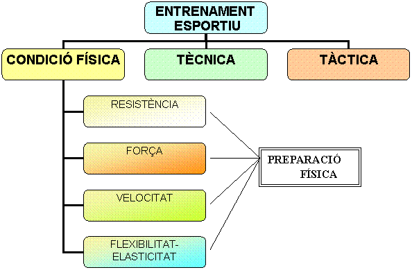 Organigrama