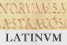 La llengua llatina