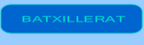 anar a batxillerat